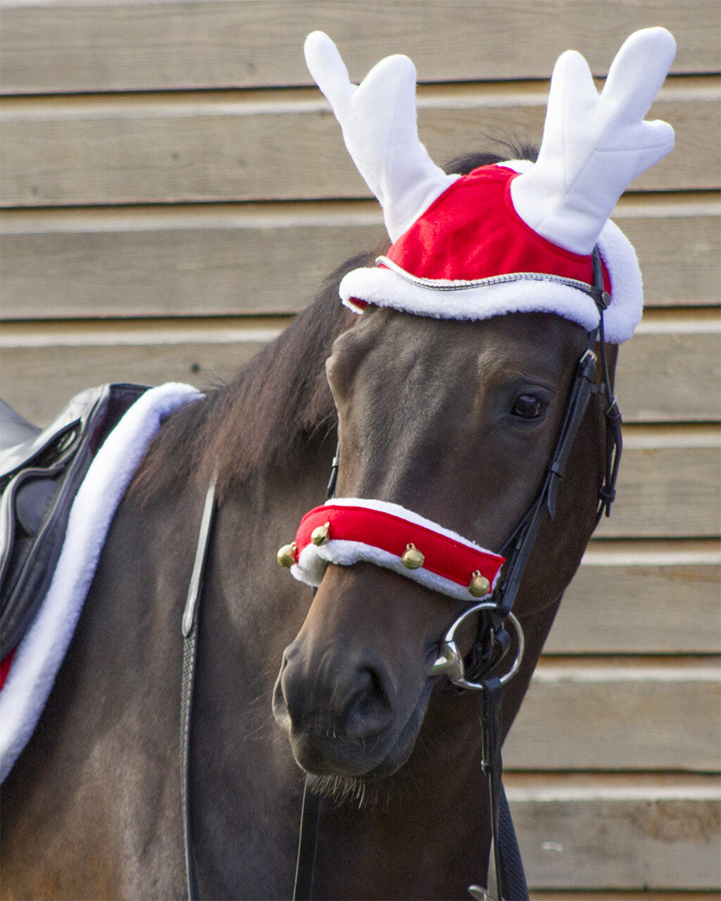 Rentierhut Weihnachten