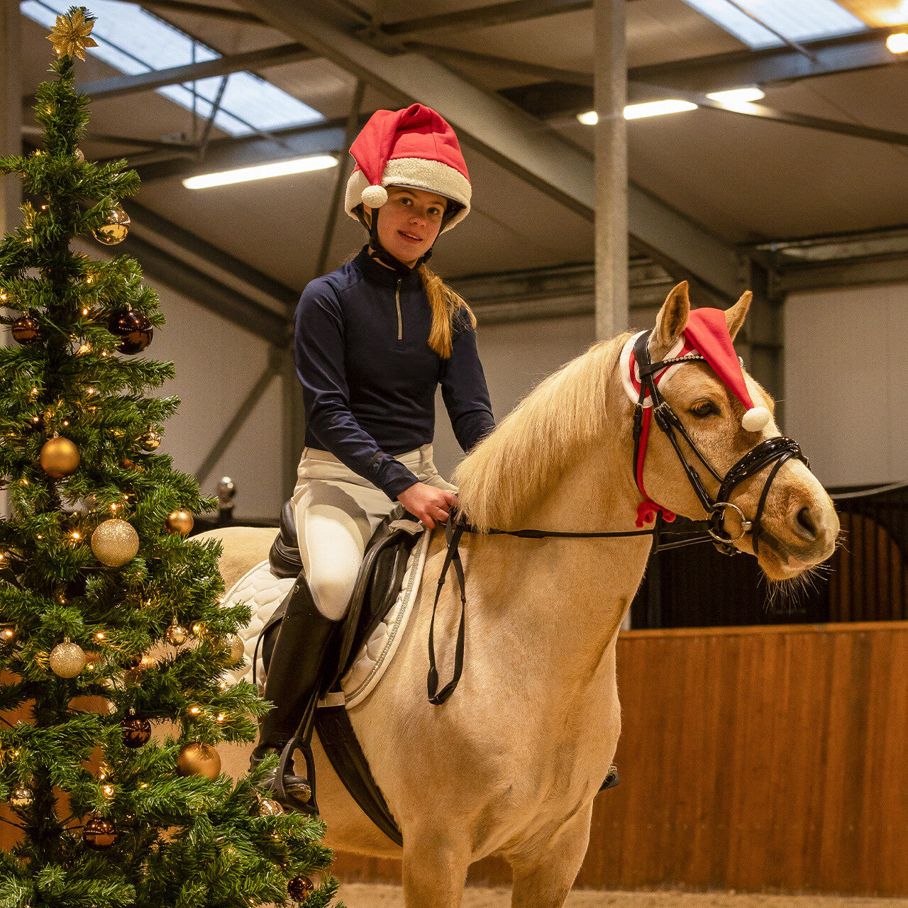 Weihnachtsmützen-Pferd