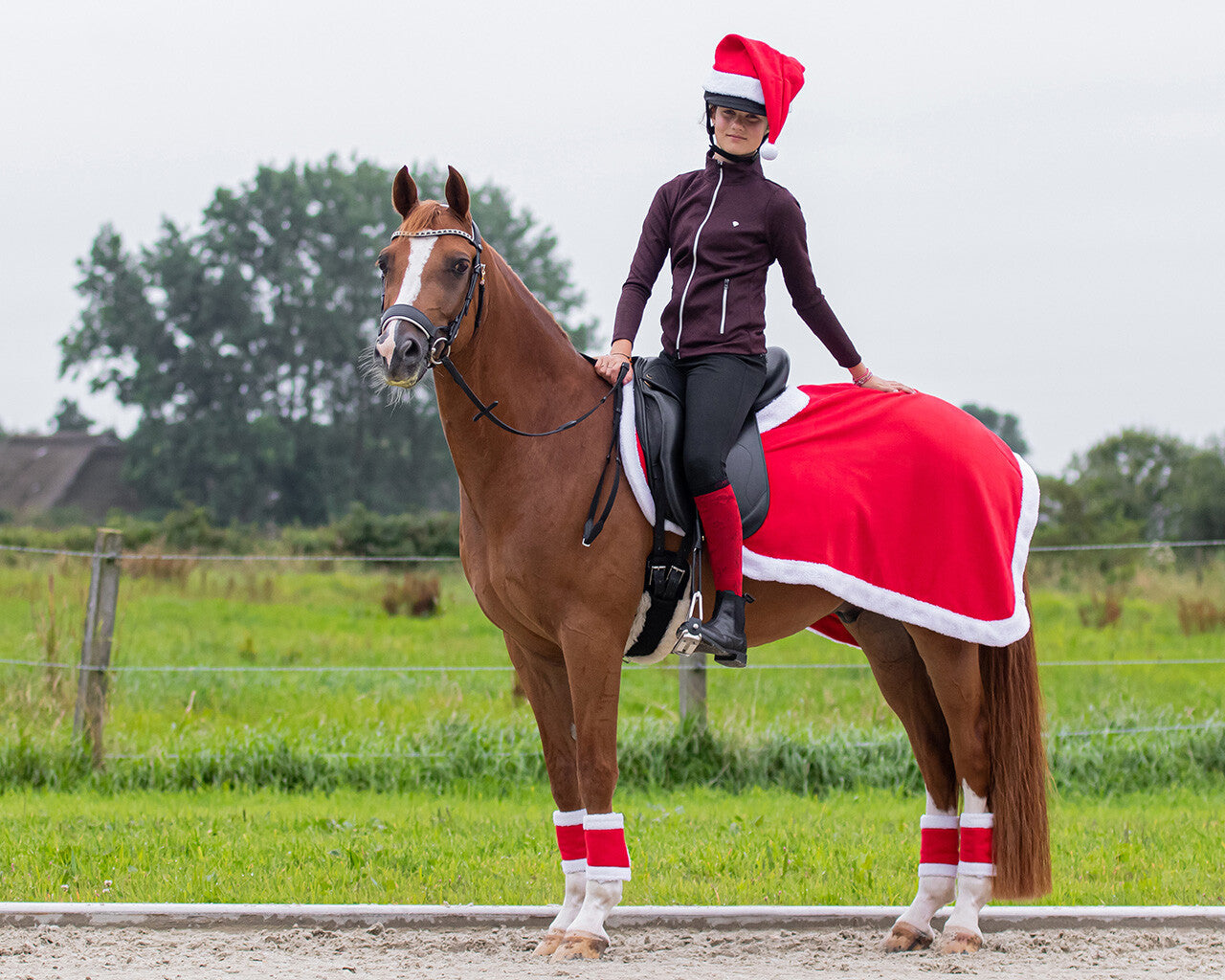 Weihnachtsübungsblatt